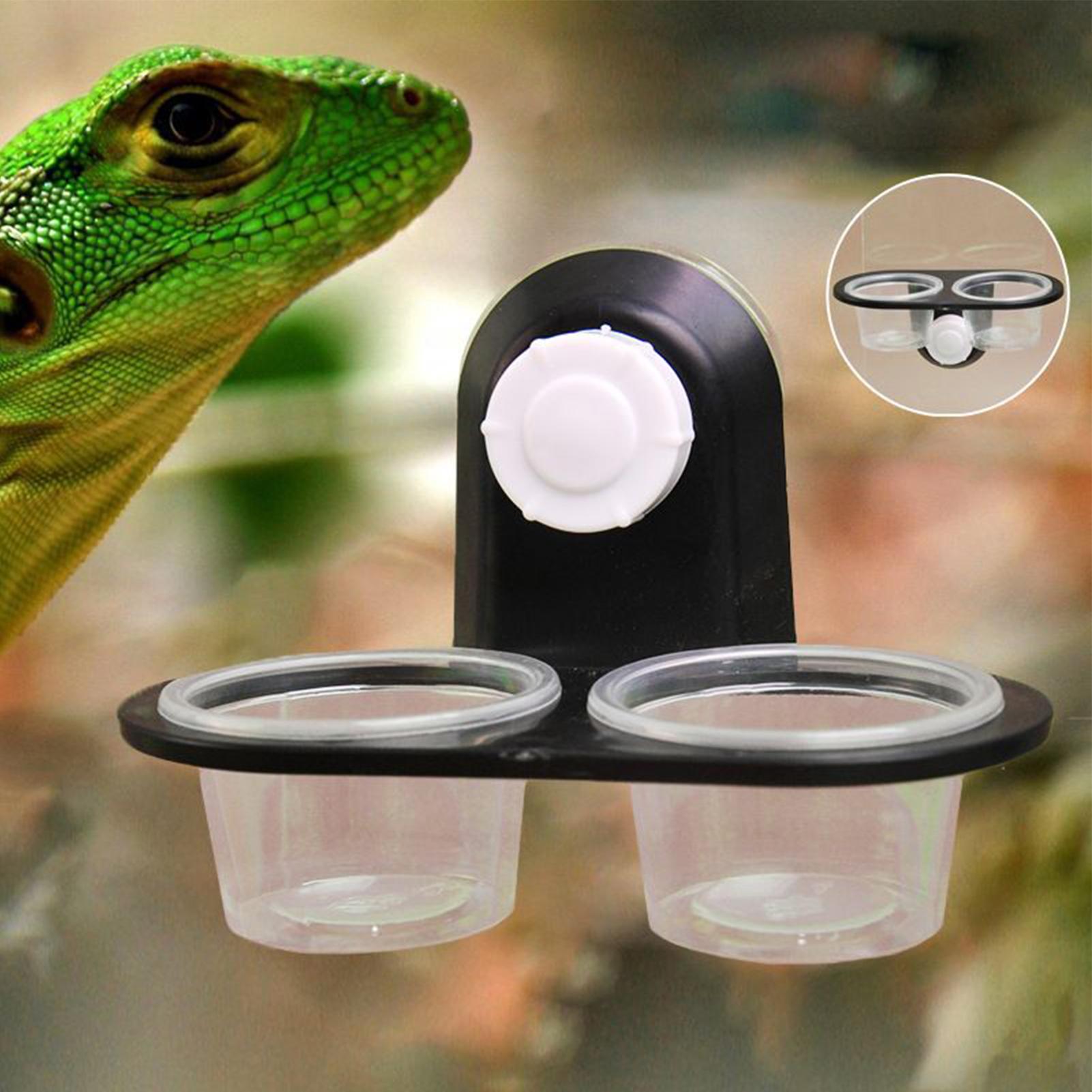 Water Dish Reptile - Plato de comida para geckos, dispensador