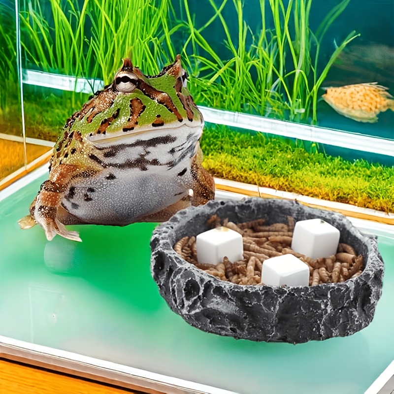Calcium Powder Reptile - 6 bloques de calcio para acuario,