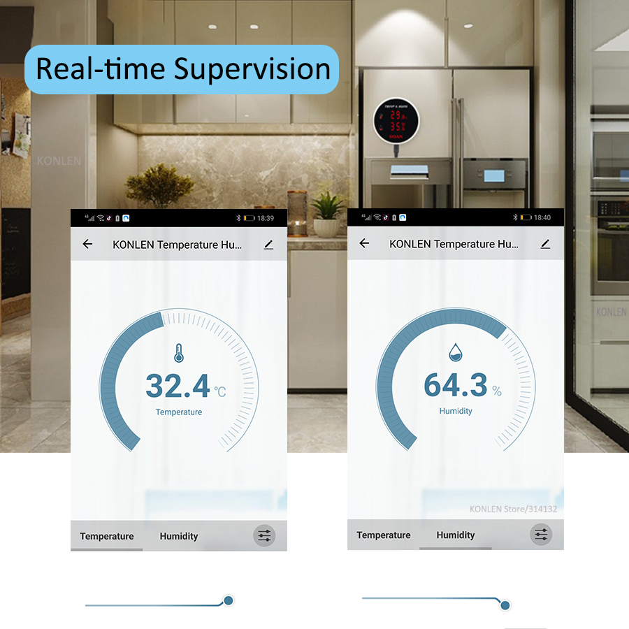 Tuya-Sensor de temperatura y h - Digital Hygrometer Probe reseña y precio