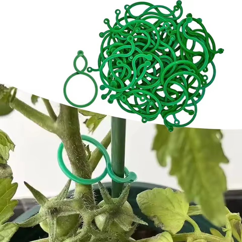 50-400 piezas de clips de sopo - Vine Climbing Plastic reseña y precio