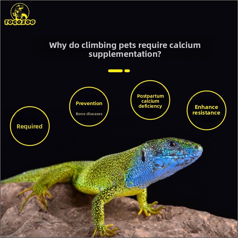 TOGOZOO WILDCAL Polvo de calci - Calcium Powder Reptile reseña y precio