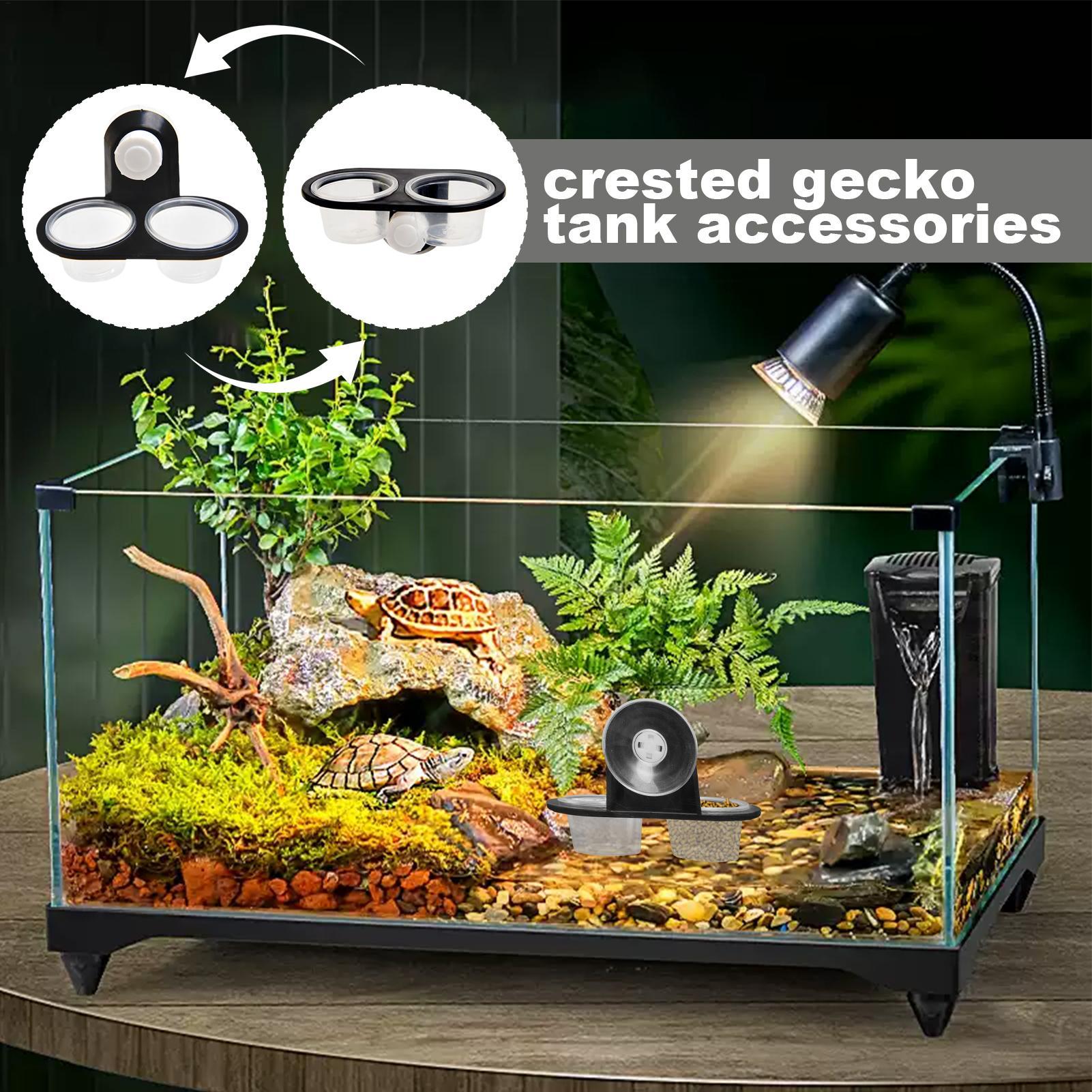 Plato de Comida para Geckos, D - Water Dish Reptile reseña y precio