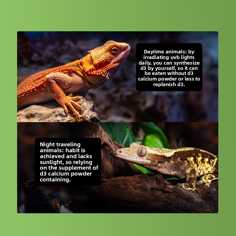 Reptizoo polvo de calcio para  - Vitamin D3 Reptile reseña y precio