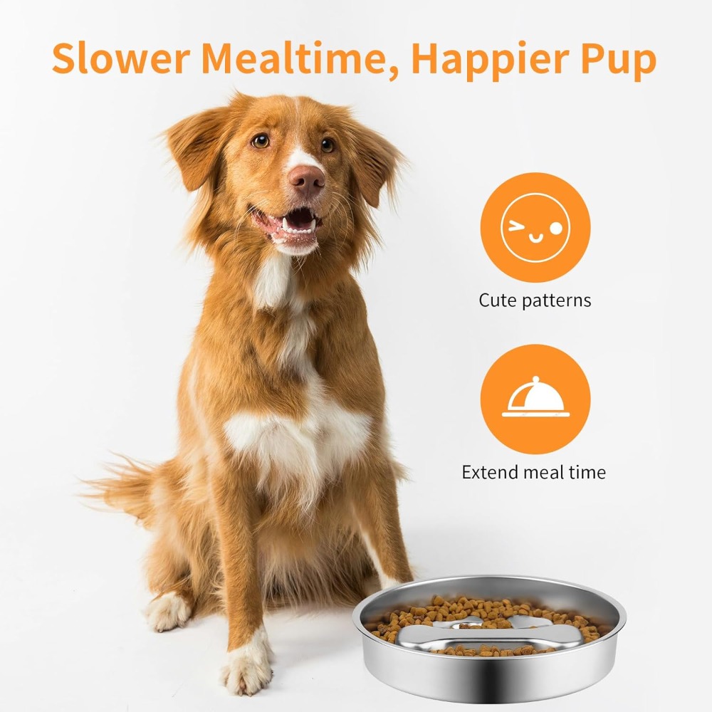 Comedero Lento para Perros, de - Royal Canin Food Medium reseña y precio