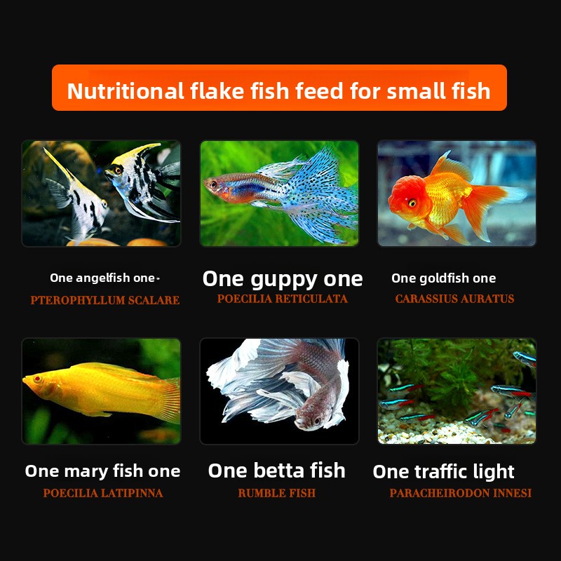 DaJiaWa-alimento para peces en - Tetra Food Goldfish Flakes reseña y precio