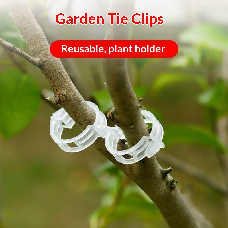 Clips de plástico reutilizable - Vine Climbing Plastic reseña y precio