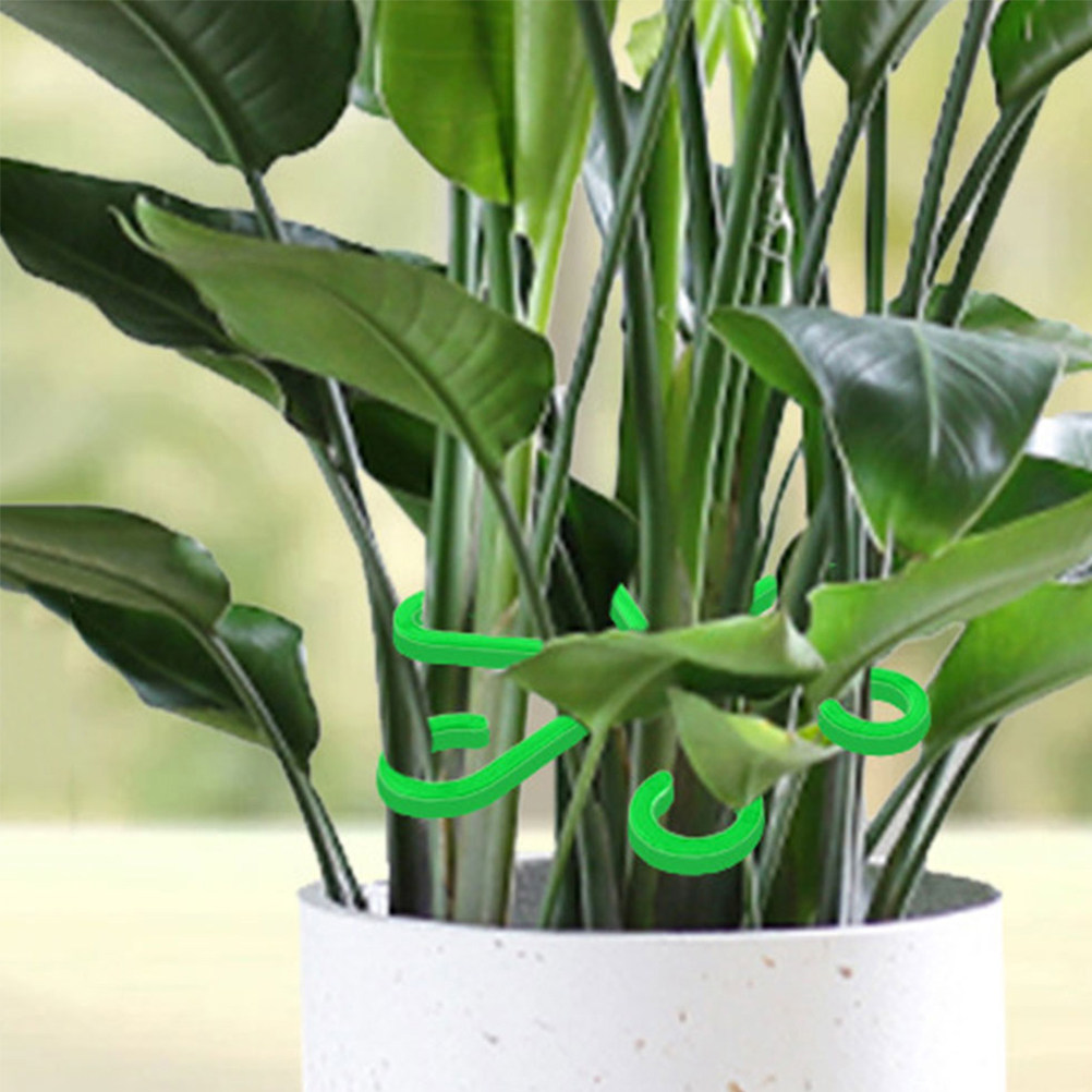 12 Clips de Soporte para Plant - Vine Climbing Plastic reseña y precio
