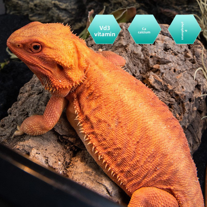 SuperRep Reptile Calcium Pro-V - Vitamin D3 Reptile reseña y precio