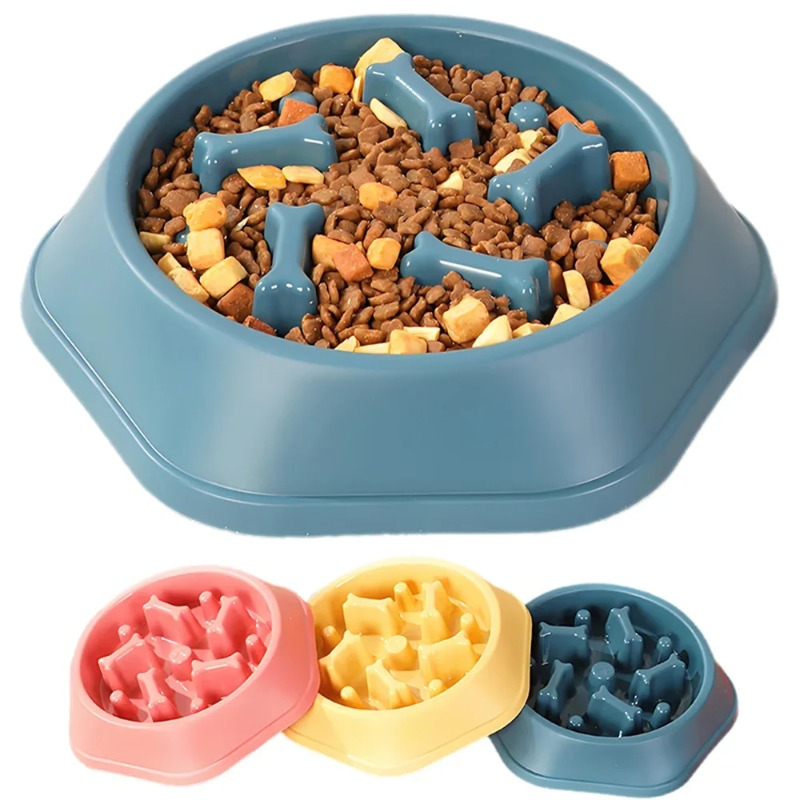 1 Plato de Alimentación Lenta  - Royal Canin Food Medium reseña y precio