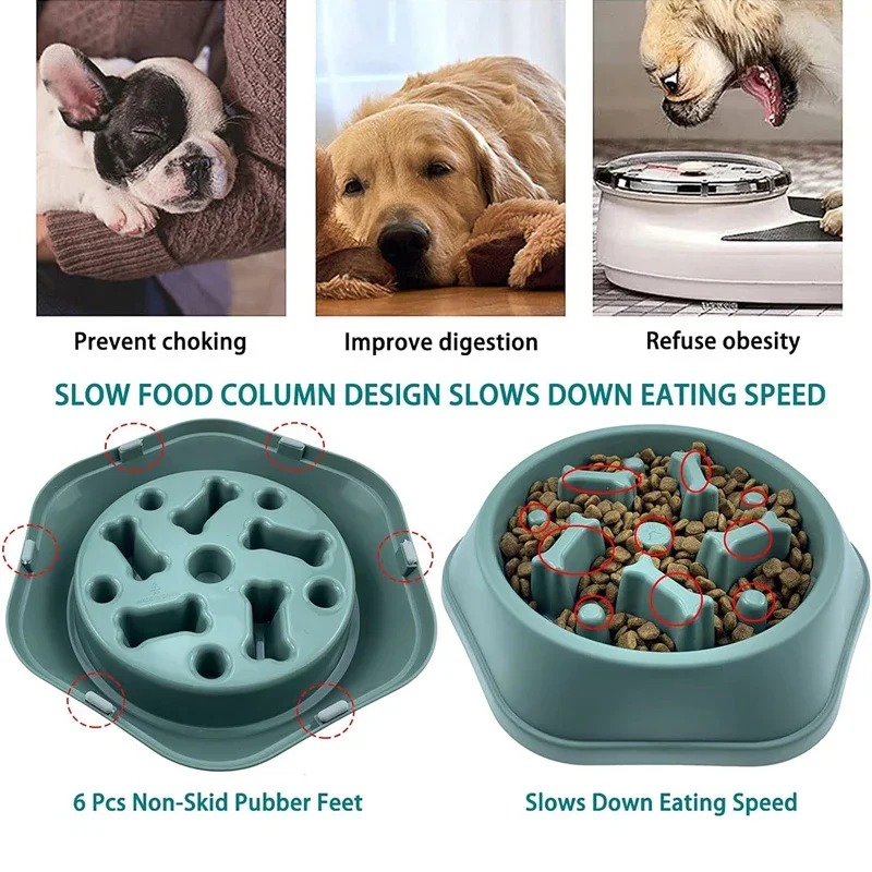 1 Plato de Alimentación Lenta  - Royal Canin Food Medium reseña y precio